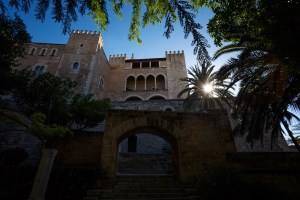 Building in Palma de Mallorca with the sun shining through a palm