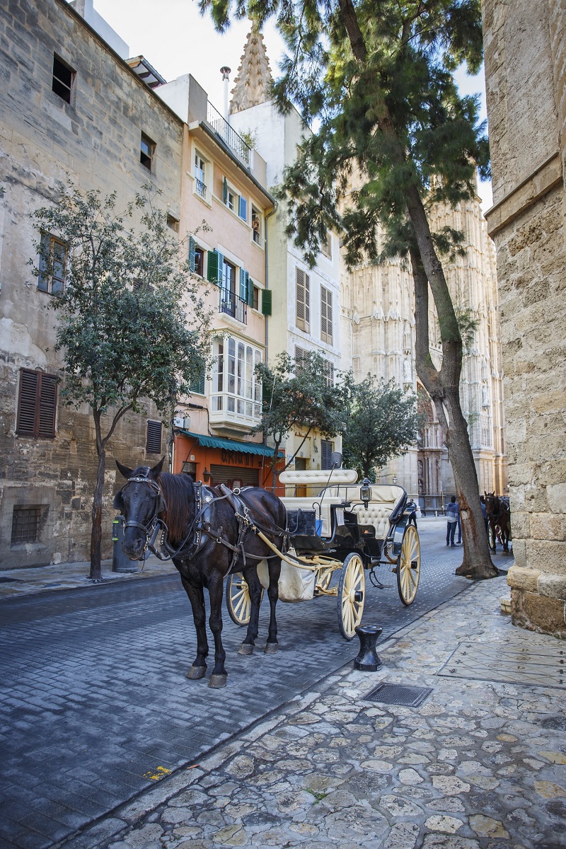 The picture shows a horse-drawn carriage in an alley of Palma